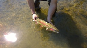 WP_20150330_11_45_48_Pro