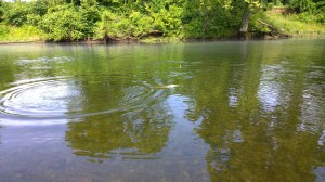 WP_20150617_09_25_00_Pro