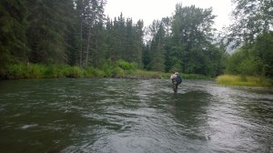 WP_20150728_19_13_32_Pro