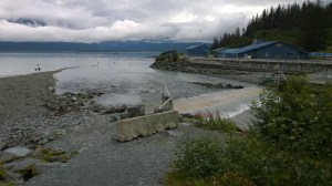 WP_20150730_11_14_25_Pro