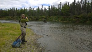 WP_20150819_15_59_10_Pro