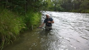 WP_20150820_14_36_39_Pro