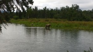 WP_20150821_10_05_51_Pro