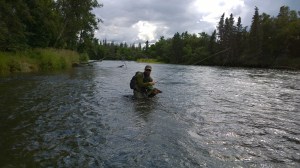 WP_20150821_15_55_18_Pro