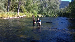 WP_20150824_16_42_33_Pro