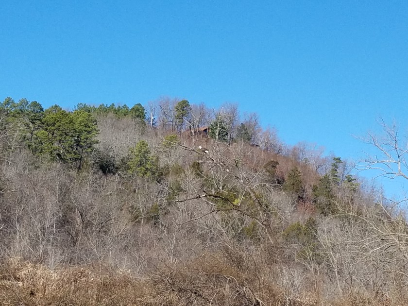 20180122_104622