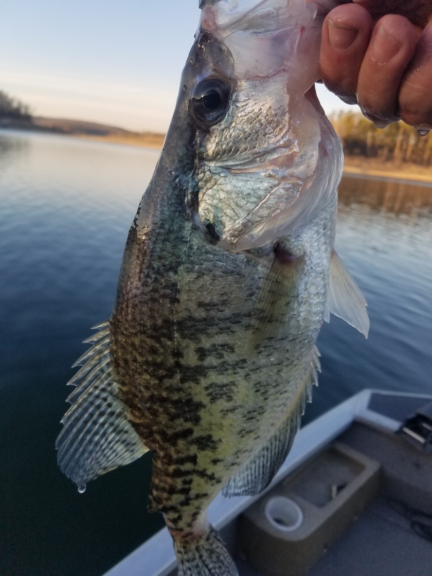 20180208_171132