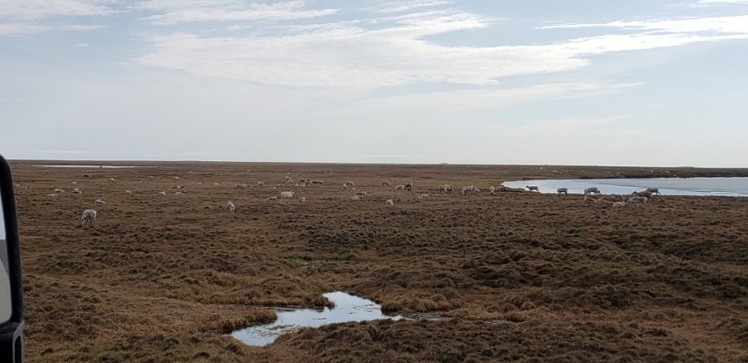 Resized_20190622_100703