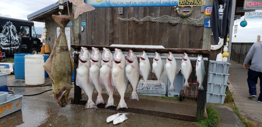 Resized_20190720_164026